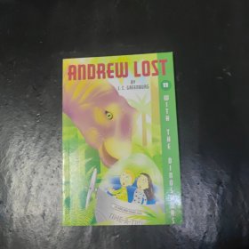 Andrew Lost with the Dinosaurs 英文原版