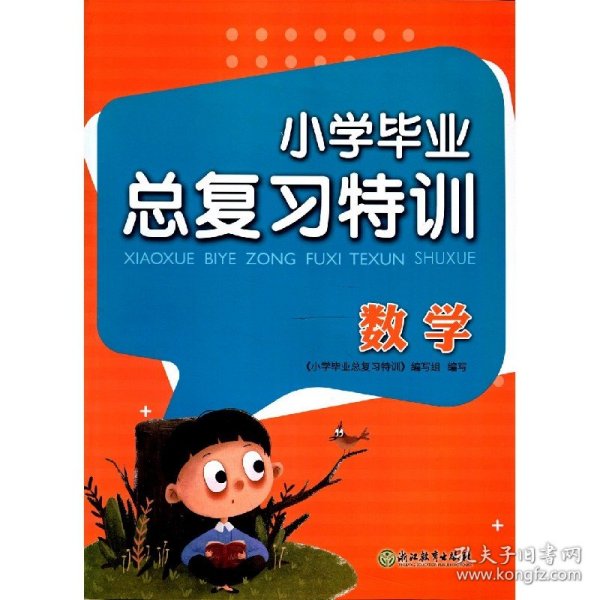 小学毕业总复习特训  数学