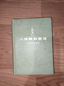 人体解剖图谱