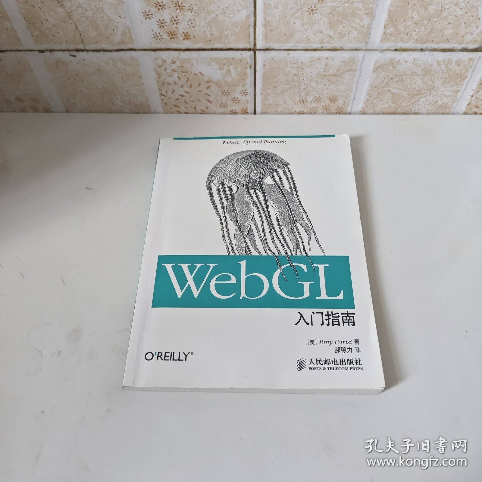 WebGL入门指南