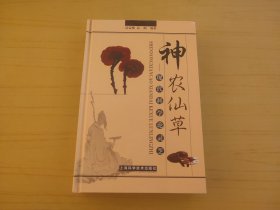 神农仙草:现代科学论灵芝 (精装)
