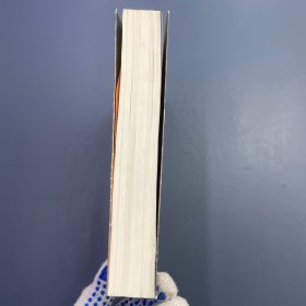 所罗门的伪证 第Ⅰ部：事件