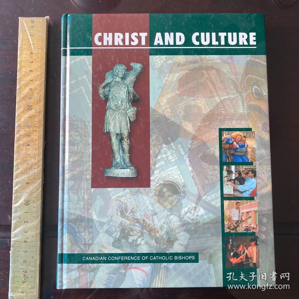 Social culture society history of cultural studies theory western philosophy 社会与文化 英文原版精装