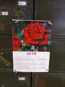 【年历画】1978年年挂历 月季花 （详情请看图片）【满40元包邮】