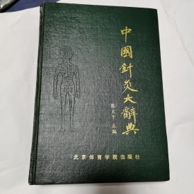 中国针灸大辞典