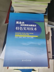 高含水油田精细油藏描述特色实用技术