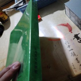 米景扬重彩水墨集 封皮未拆