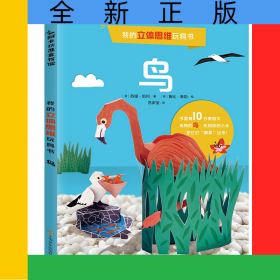 我的立体思维玩具书鸟