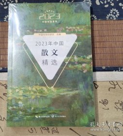 2023年中国短篇小说精选