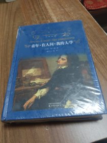 经典译林：童年·在人间·我的大学