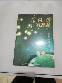 一闪一闪亮晶晶 一位园长的教育叙事【满30包邮】