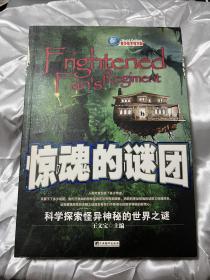 惊魂的谜团：科学探索怪异神秘的世界之谜（升级版）