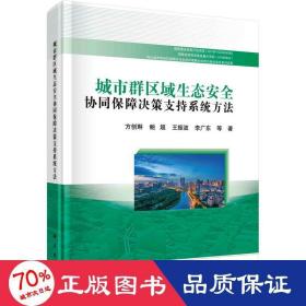 城市群区域生态安全协同保障决策支持系统方法