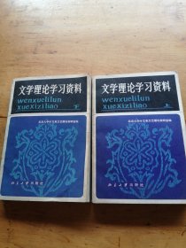 文学理论学习资料（上下册）（有划线）