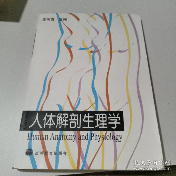 人体解剖生理学