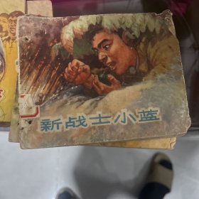 新战士小蓝