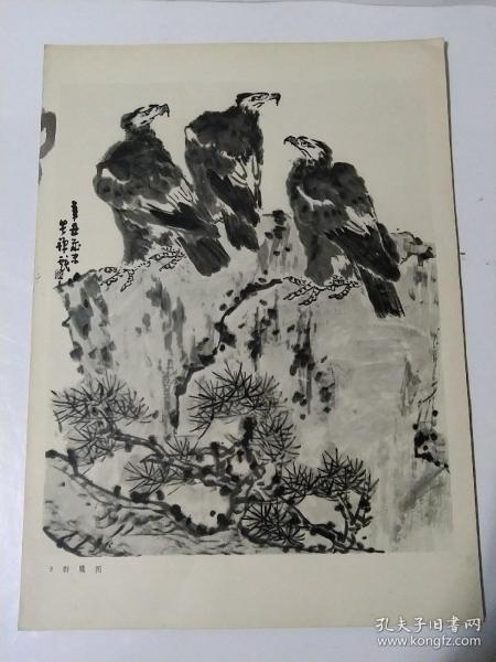 1978年印刷的8开老画一张，李苦禅（群鹰图）