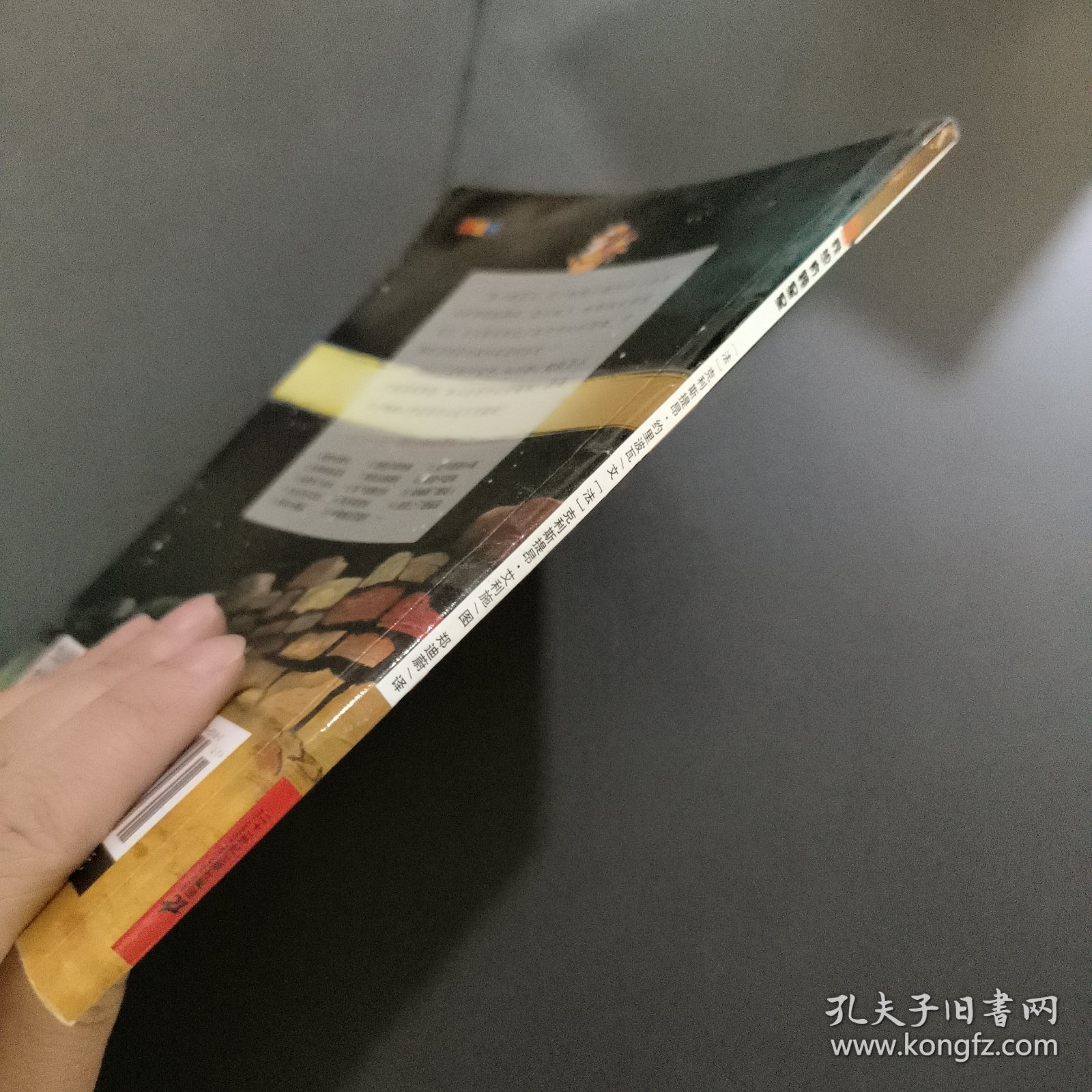 我想有颗星星：不一样的卡梅 拉2