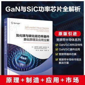 氮化镓与碳化硅功率器件 基础及应用全解 电子、电工 (意)毛里齐奥·迪保罗·埃米利奥