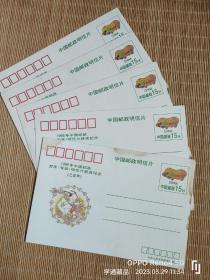 1995年中国邮政哈年（有奖）获奖纪念明信片（5枚，有一枚边缘处有水渍）