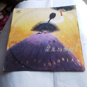 花儿与少年黑胶唱片
