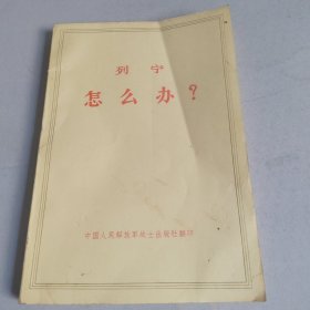 列宁 怎么办？