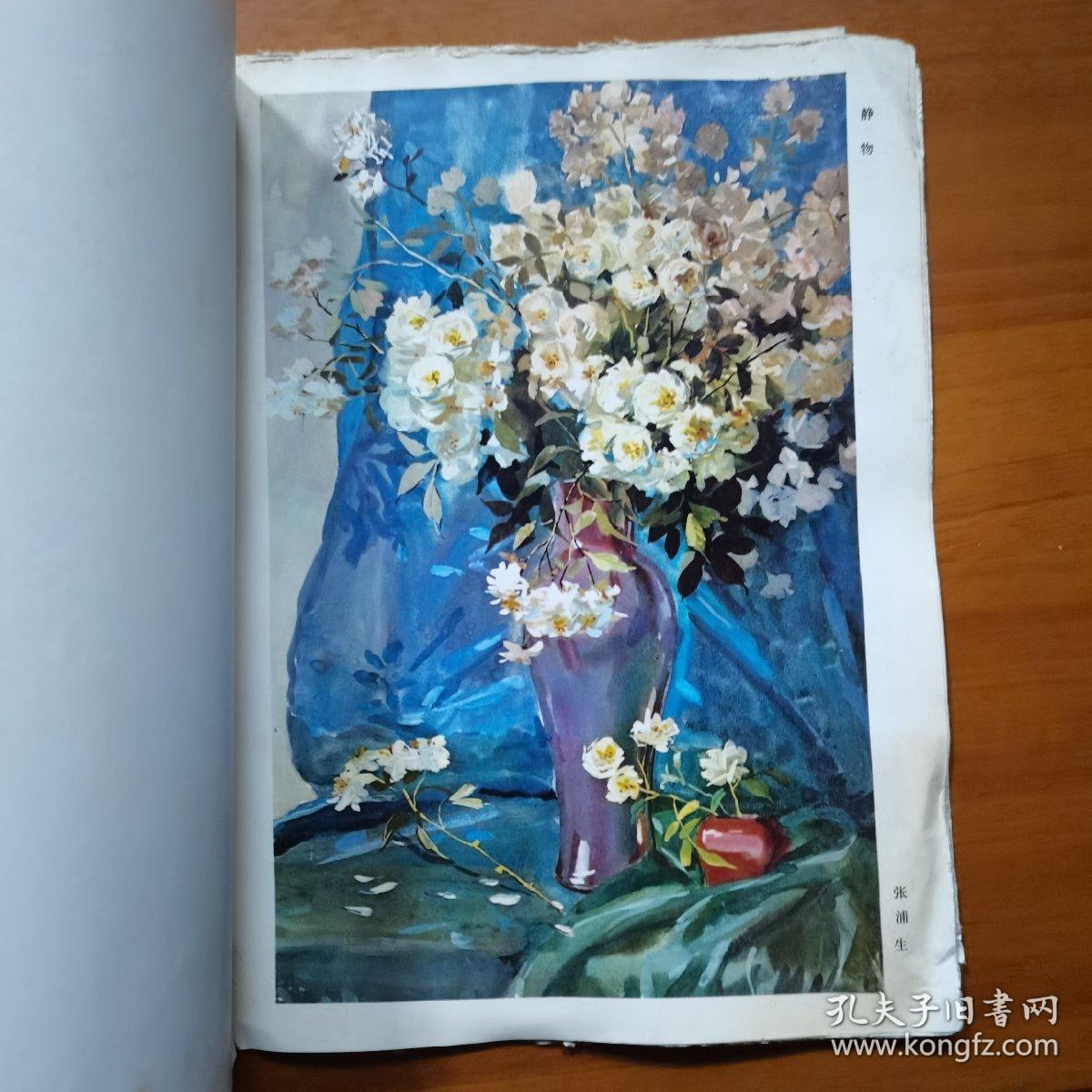 水粉写生画选（内有水粉画12张）