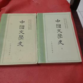 中国文学史（2、3）