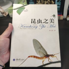 昆虫之美