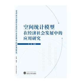 空间统计模型在经济社会发展中的应用研究 武汉大学出版社 肖磊 编著 著 经济理论、法规