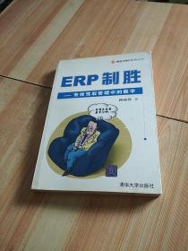 ERP制胜：有效驾驭管理中的数字