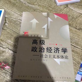 高级政治经济学：社会主义本体论