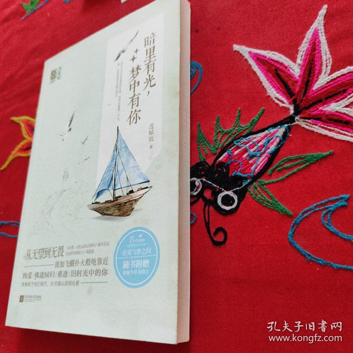 暗里有光，梦中有你