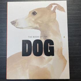 THE BOOK OF THE DOG: DOGS IN ART (关于狗的油画作品） 厚纸画本