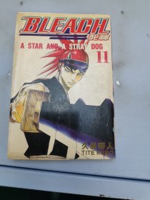 BLEACH 11