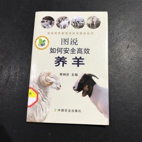 图说如何安全高效养羊