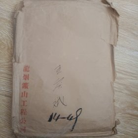 中共龙烟工程公司监察委员会 关于对王庆斌同志所犯错误的调查报告一册