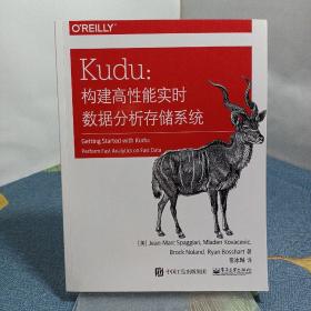 Kudu：构建高性能实时数据分析存储系统(博文视点出品)