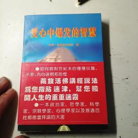 爱心中爆发的智慧:增订本