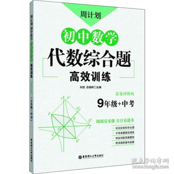 周计划：初中数学代数综合题高效训练（9年级+中考）