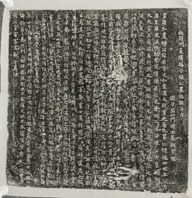 唐故同州夏阳县令杨若墓志铭并序 尺寸46CM 弘农杨氏，杨震之后裔 祖杨献，定州刺史，出身高贵，博学多才。 杨府君弱冠门荫補崇玄馆学生，擢明经上第。 贞元十五年与夫人合葬于族莹