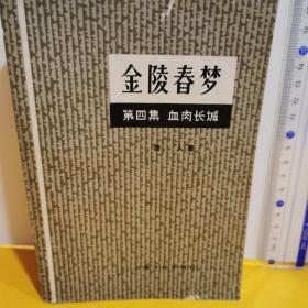 金陵春梦   第四集    血肉长城