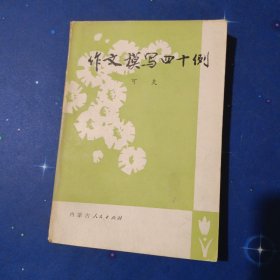 作文模写四十例