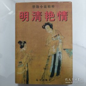 禁毁小说精粹 明清艳情(全一册)