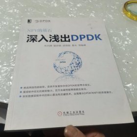 深入浅出DPDK，内页干净