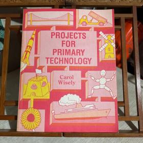 PROJECTS FOR PRIMARY TECHNOLOGY