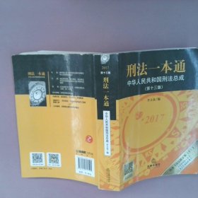 刑法一本通：中华人民共和国刑法总成（第十三版）