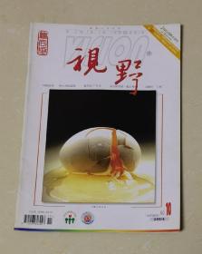 视野•期刊2004年（第10期）