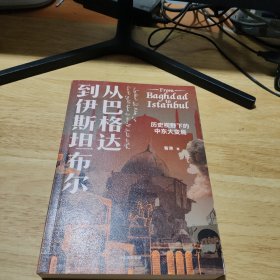 从巴格达到伊斯坦布尔：历史视野下的中东大变局