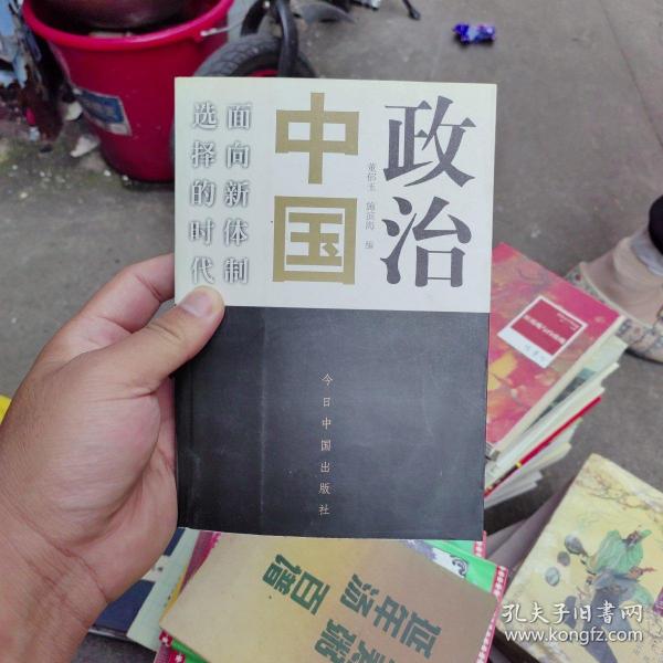 政治中国：面向新体制选择的时代